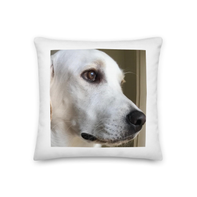 Almofada branca com foto de cão branco em perfil