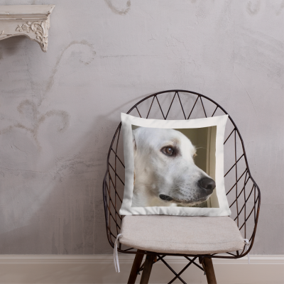Almofada branca com estampa de cachorro numa cadeira de metal