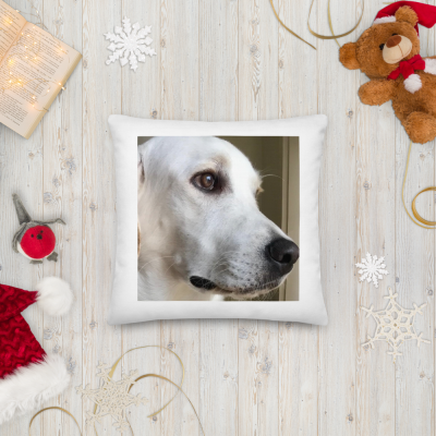 Almofada branca com foto de cão e decoração natalícia ao redor