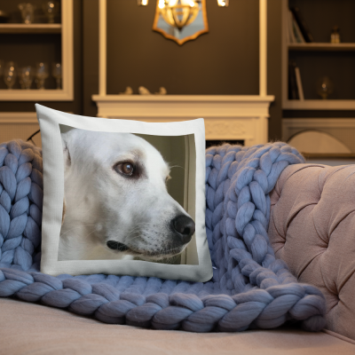 Almofada branca com fotografia de cão sobre sofá e manta azul