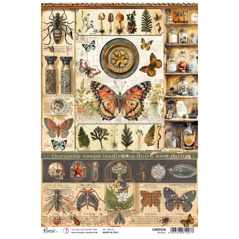 Papel de arroz A4 CIAO BELLA Science CBRP 536 Ilustrações científicas coloridas de insetos, borboletas, plantas, fungos e frascos de vidro