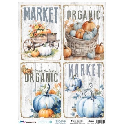 Cartões decorativos com abóboras em carrinho e cesto, texto MARKET e ORGANIC