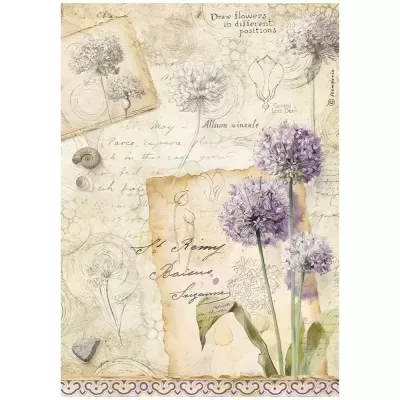 Ilustração botânica com flores Allium vineale lilás, desenhos a lápis, textos manuscritos e papel envelhecido sobre fundo branco
