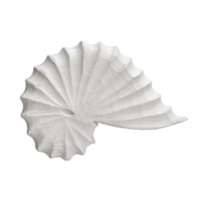 Concha decorativa branca em espiral com textura rugosa