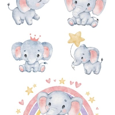 Ilustração de cinco elefantes cinzentos com coroas, estrela, borboleta e arco-íris colorido