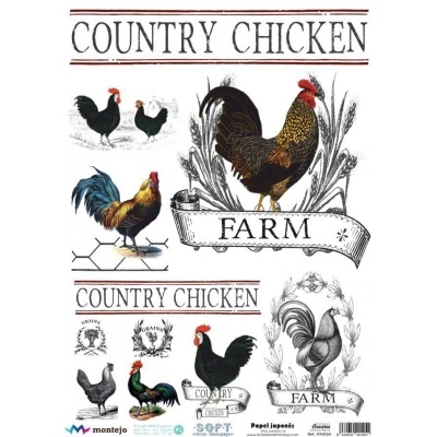 Ilustrações coloridas e a preto e branco de galinhas e galos com textos COUNTRY CHICKEN e FARM em fundo branco