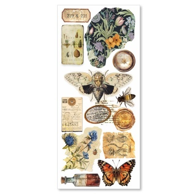 Folha decorativa vintage com flores, insetos, frasco e etiquetas antigas