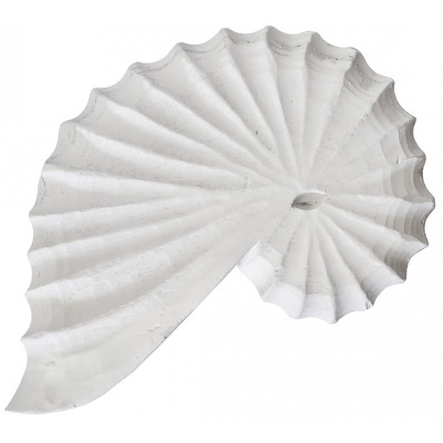 Objeto decorativo branco em forma de concha com textura rugosa.