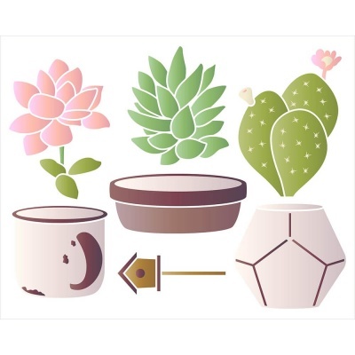 Ilustração de três plantas suculentas com vasos e uma seta