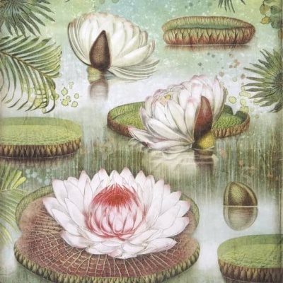 Ilustração de flores de lótus aquáticas e folhas grandes com texto THE GREAT WATER LILLY