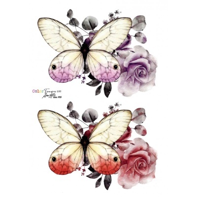 Borboletas brancas com pontas em rosa e lilás sobre flores lilás e vermelhas