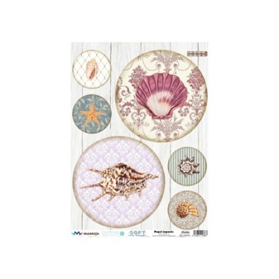 Seis círculos decorativos com conchas e estrelas-do-mar coloridas em fundo branco de madeira