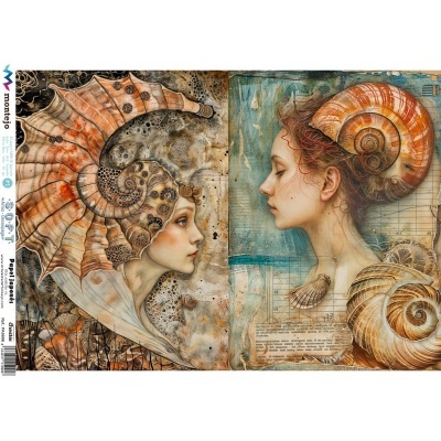 Ilustração de mulheres com caracóis marinhos na cabeça em tons terrosos e azul