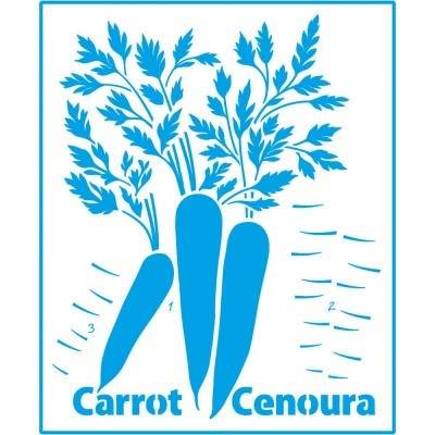Ilustração azul de três cenouras com folhas e as palavras Carrot e Cenoura