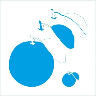 Ilustração minimalista de quatro frutas com contornos brancos e áreas azuis em fundo branco