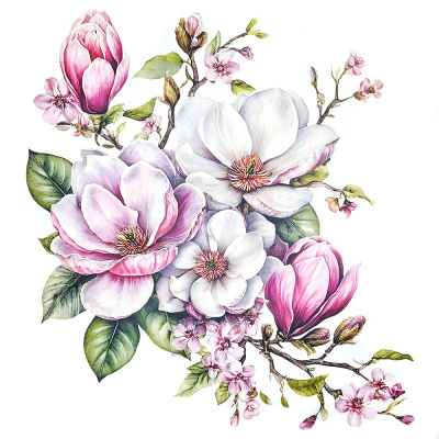 Ilustração de flores de magnólia em tons de branco e rosa