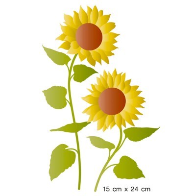 Dois girassóis amarelos com folhas verdes e indicação de tamanho