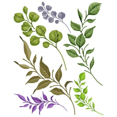 Ilustração de seis ramos com folhas coloridas diferentes