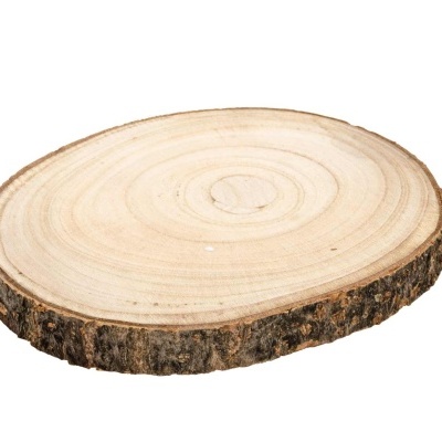 Fatia redonda de madeira natural sobre fundo branco.