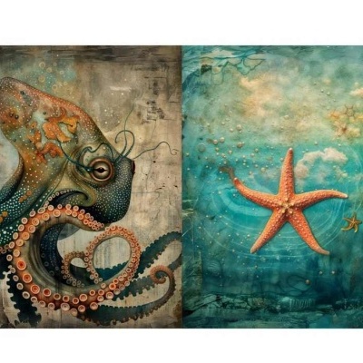 Ilustração de um polvo colorido e estrelas-do-mar em fundo azul