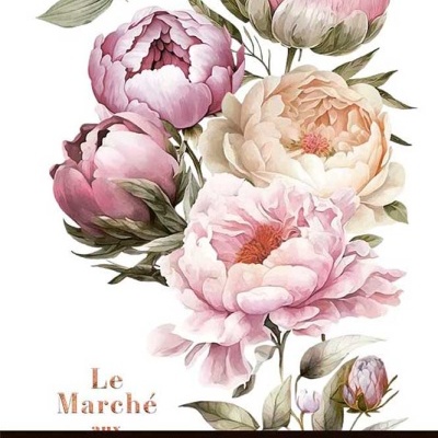 Ilustração floral rosa, leques de texto e embalagem preta de materiais decorativos.