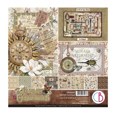 Papel decorativo scrapbooking com desenhos vintage de relógio, chaves, insetos e flores.