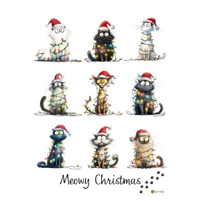 Ilustração de gatos com gorros de Natal e luzes coloridas, texto Meowy Christmas.