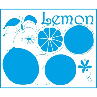 Desenhos estilizados a azul de limões e flores com a palavra LEMON.