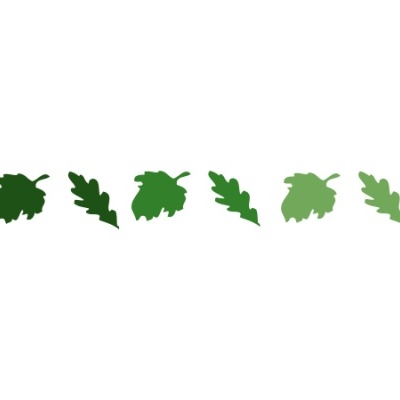 Seis folhas verdes estilizadas em linha sobre fundo branco