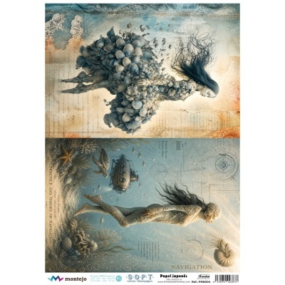 Imagem artística com duas figuras femininas inspiradas no mar e navegação, texturas de conchas e elementos submarinos, texto decorativo e logotipos de papel japonês.