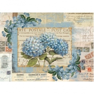 Ilustração decorativa de hortênsias azuis sobre postal antigo em tons de azul, creme e bege