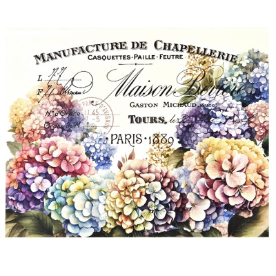 Ilustração vintage de flores hortênsias multicoloridas com texto em francês estilizado