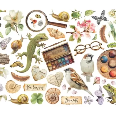 Ilustrações detalhadas de natureza e arte com texto inspirador