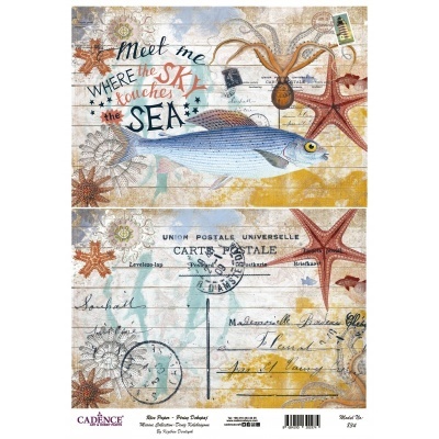 Design marítimo vintage com peixe, estrelas-do-mar e texto inspirador.