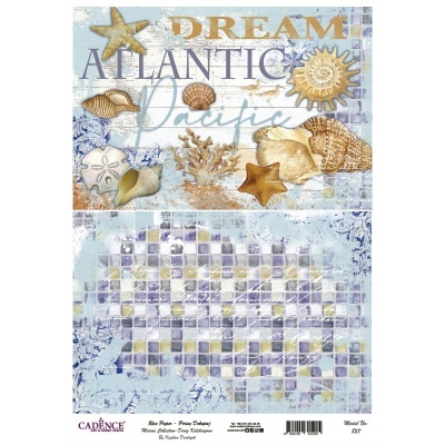 Papel de transferível para decoupage com conchas, estrelas do mar e padrão mosaico.