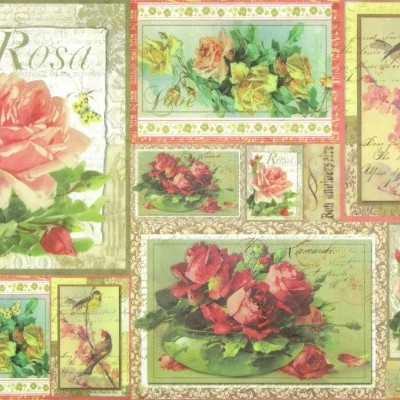 Ilustrações emolduradas de rosas, pássaros, folhas e texto caligráfico em tons suaves.