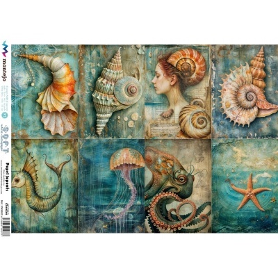 Ilustrações marinhas e figura feminina em estilo artístico detalhado