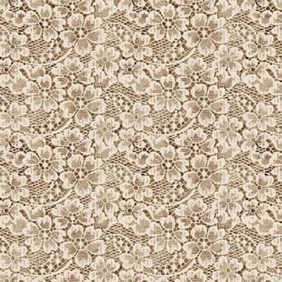 tecido de renda bege com padrão floral detalhado