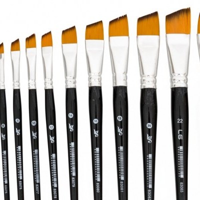 Conjunto de 12 pincéis de pintura com cabos pretos e cerdas laranja ordenados