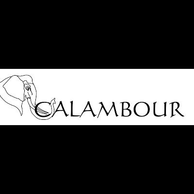 Logótipo preto com desenho de elefante e texto SALAMBOUR