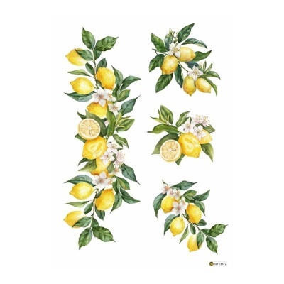 Ramos decorativos com limões, folhas e flores sobre fundo branco