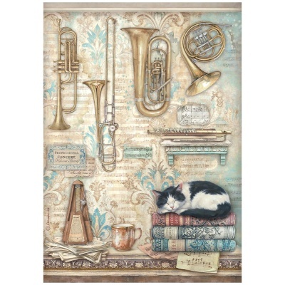 Instrumentos musicais clássicos, partituras, murais decorativos, gato dormindo sobre livros antigos