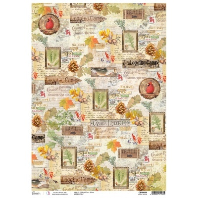 Papel decorativo com imagens de pinhas, pássaros vermelhos, folhas e texto em bege