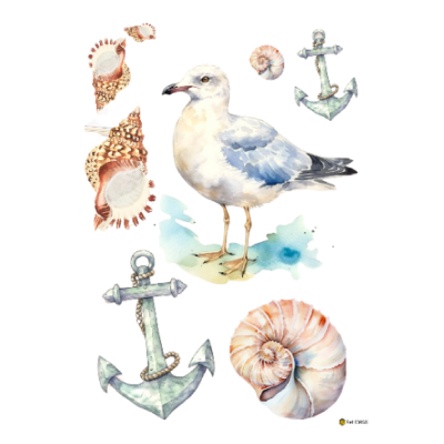 Ilustração aquarela de gaivota, âncoras e conchas marinhas sobre fundo branco
