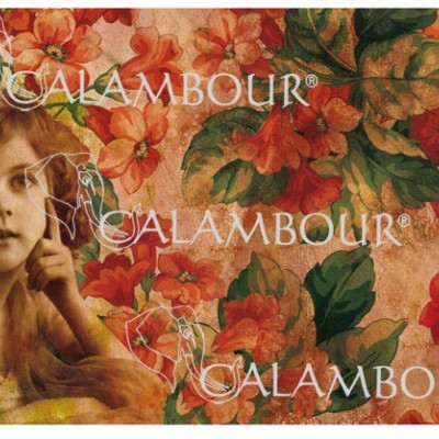 Papel de parede floral vintage com imagem de criança e texto CALAMBOUR®