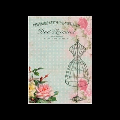 Cartaz vintage com flores, manequim metálico e texto em francês