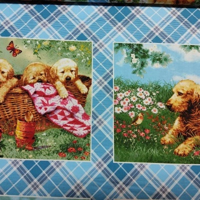 Quadros decorativos com imagens de cães, cesta, flores e céu azul