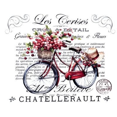 Bicicleta vermelha vintage com cesto de bagas e chapéu de palha junto a texto em francês e selo postal.