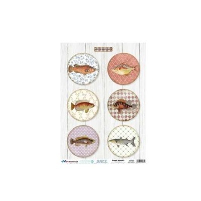 Seis etiquetas redondas com desenhos de peixes coloridos sobre fundos variados em padrão, dispostos em duas colunas sobre fundo branco texturizado.