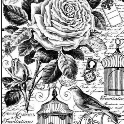 Ilustração a preto e branco de rosa, pássaro, gaiolas e texto manuscrito antigo